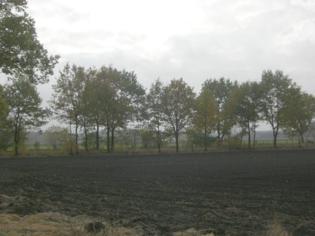 CTF Celle Strecke 083